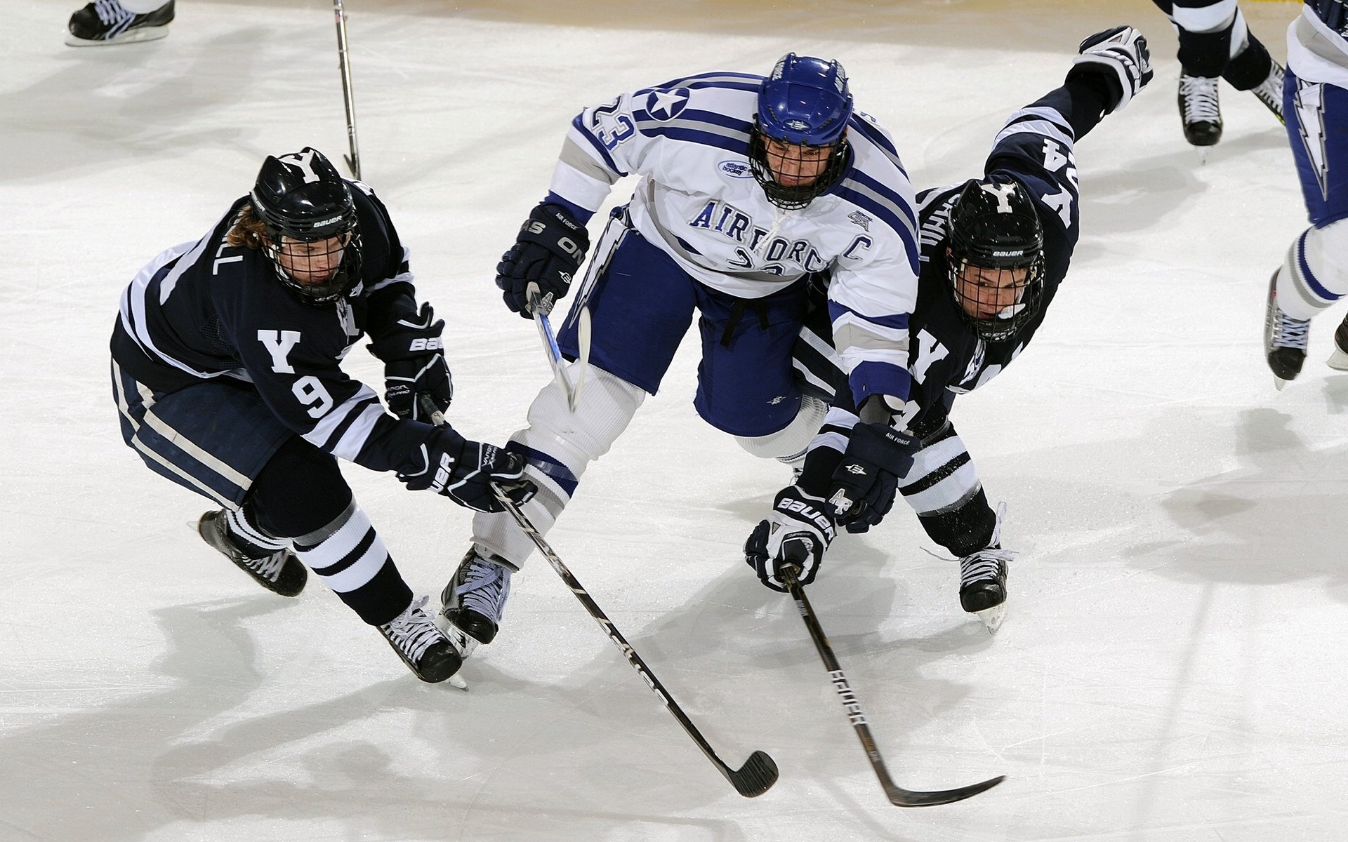 埃弗顿球迷组织开展慈善活动获好评，埃弗顿小球迷