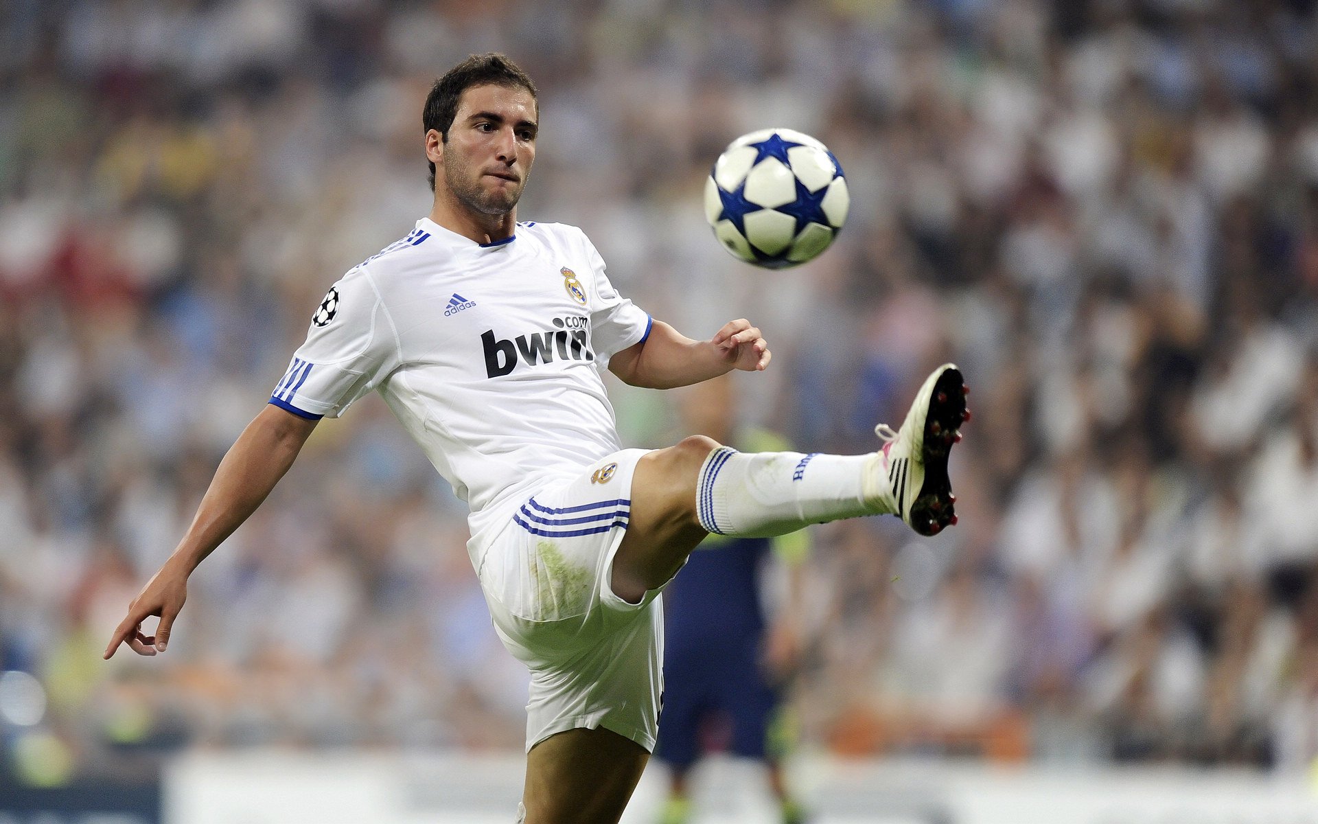 中国高尔夫青训成果逐渐显现多名新星冒头，中国青少年高尔夫球精英赛